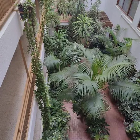 With Rooftop Pool Lejlighed Puerto de la Cruz (Tenerife)